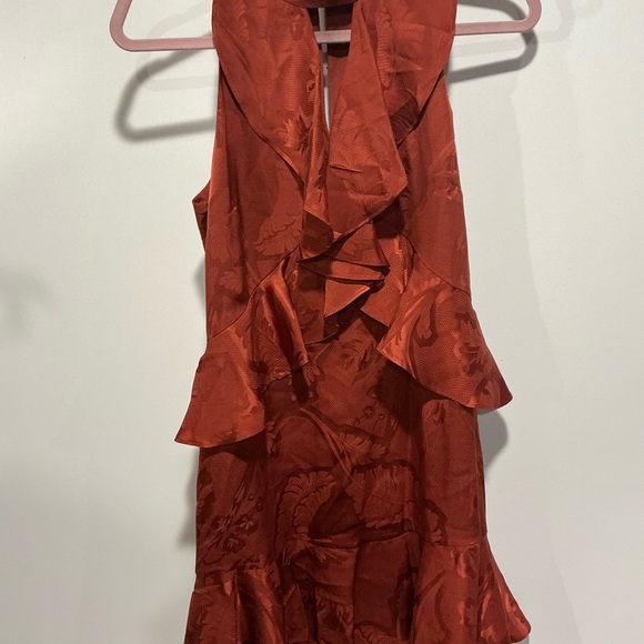 AFRM Rust Ruffle Silk Mini Dress - Picture 4 of 10